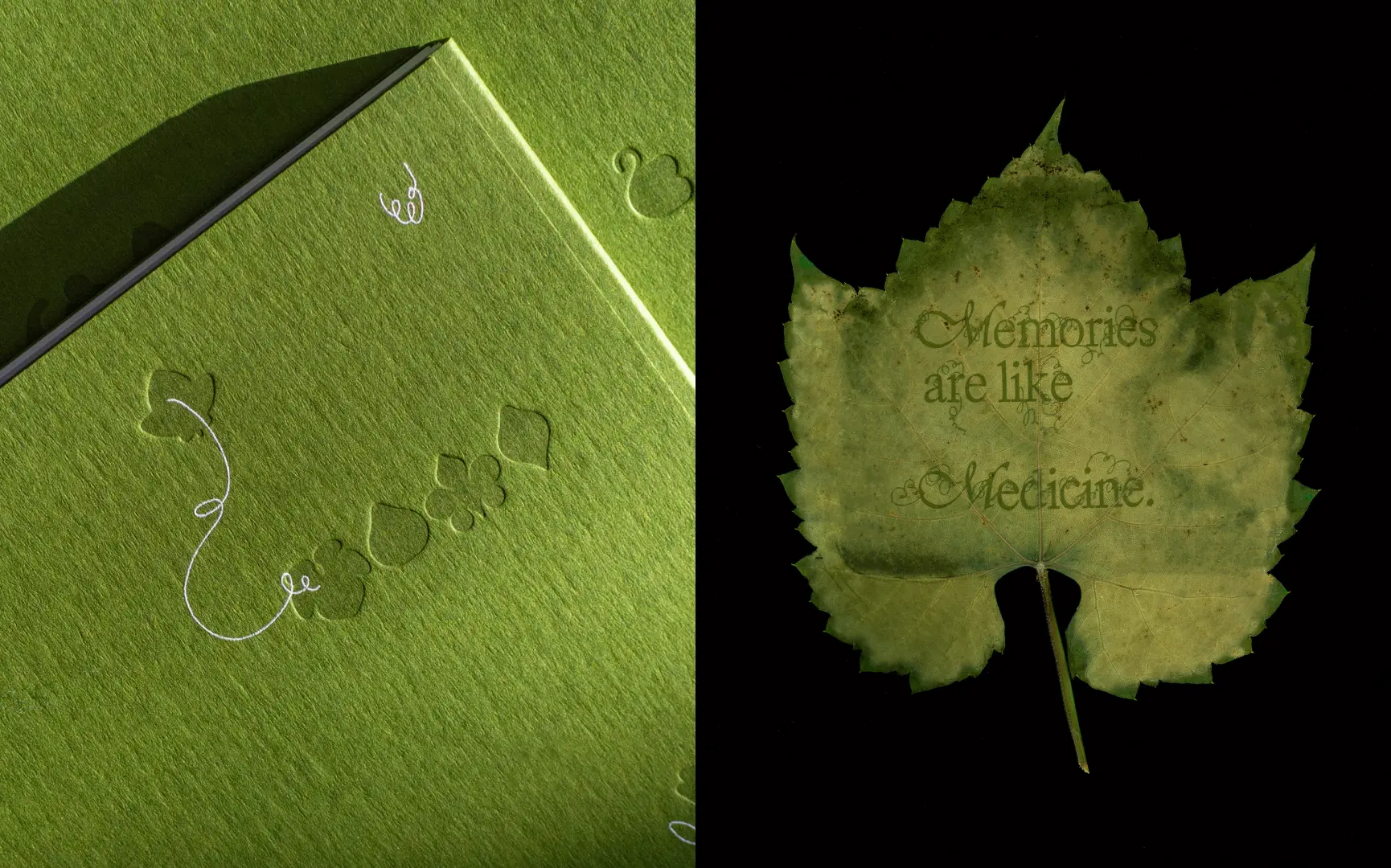 Selections from Emi Takahashi's “Where Grape Leaves Grow” project, created in collaboration with author Anna Daliza and designer Michelle Kuan. Left photo by Marni Marriott.
