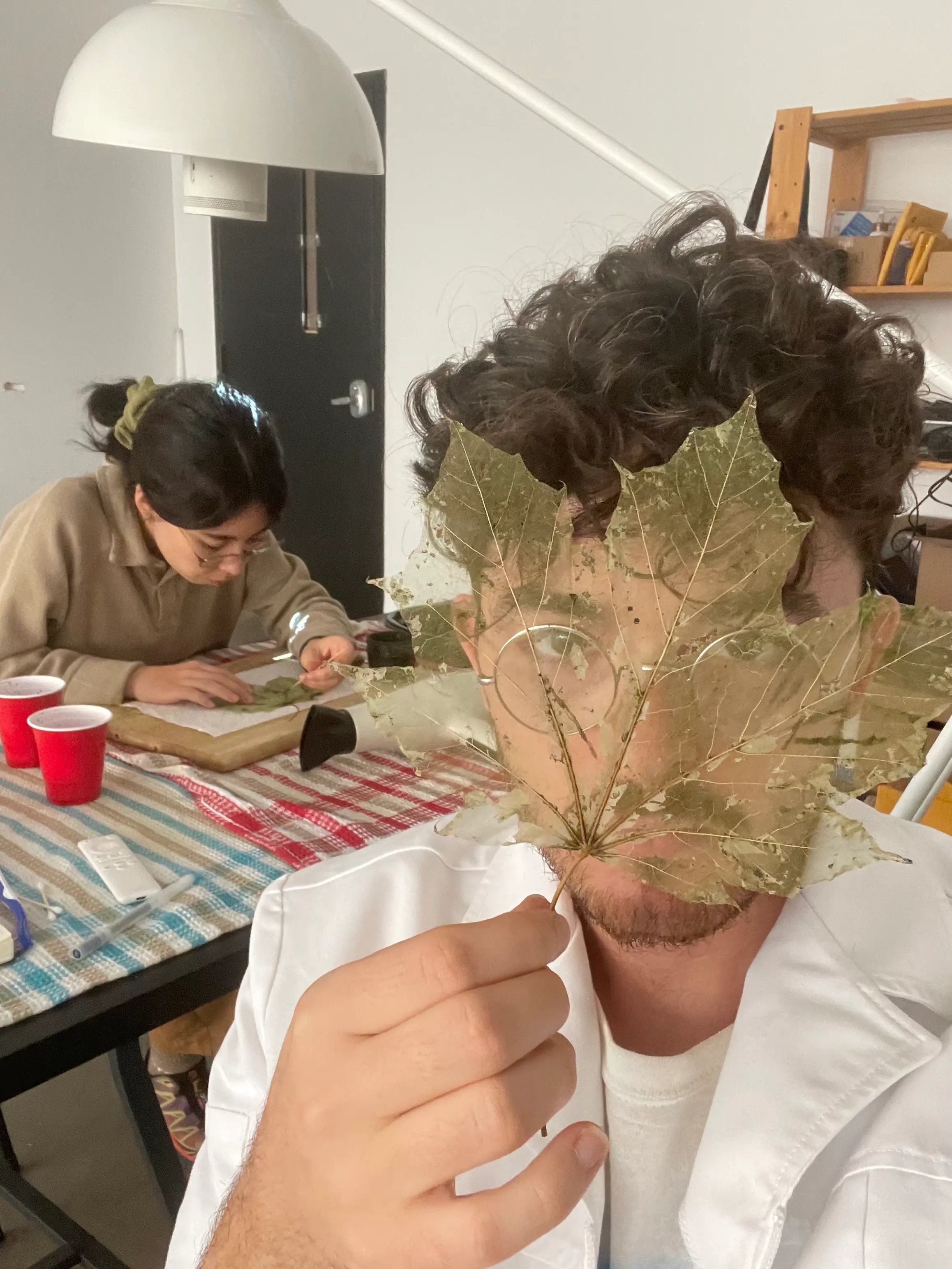 Nik and Emi while working on their Leaf Galls project for the Organima series.